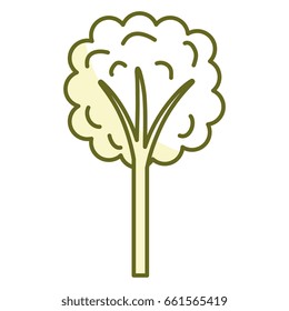 tree plant isolated icon