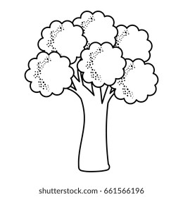 tree plant isolated icon