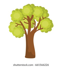tree plant isolated icon