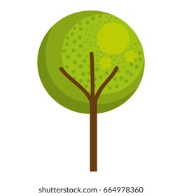tree plant isolated icon