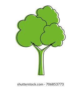 tree plant isolated icon