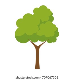 tree plant isolated icon
