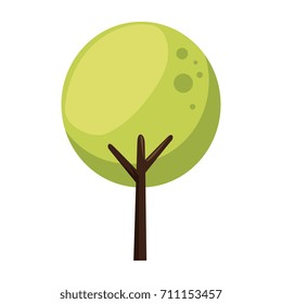 tree plant isolated icon