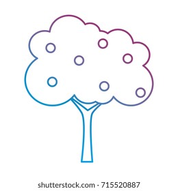 tree plant isolated icon