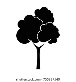 tree plant isolated icon