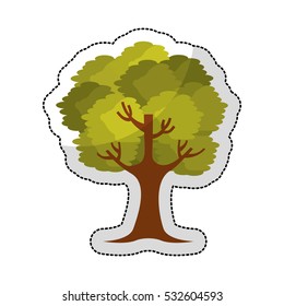 tree plant isolated icon vector illustration design