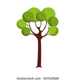 tree plant isolated icon vector illustration design