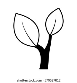 tree plant isolated icon vector illustration design