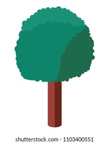 tree plant isometric icon