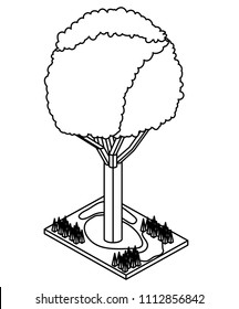 tree plant isometric icon