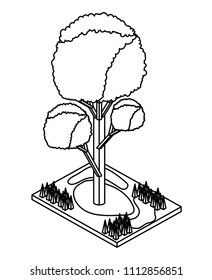 tree plant isometric icon