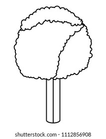 tree plant isometric icon
