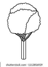 tree plant isometric icon