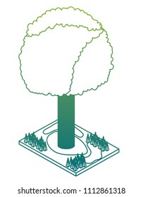 tree plant isometric icon