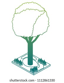 tree plant isometric icon