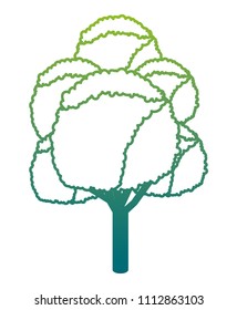 tree plant isometric icon