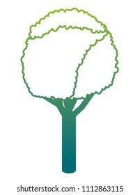 tree plant isometric icon