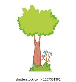 tree plant in the landscape