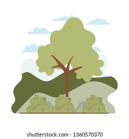 tree plant with landscape isolated icon