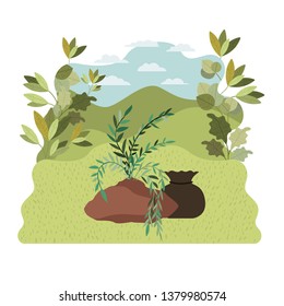 tree to plant in landscape isolated icon