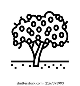 tree plant lemon line icon vector. tree plant lemon sign. isolated contour symbol black illustration