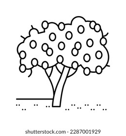 tree plant lemon line icon vector. tree plant lemon sign. isolated contour symbol black illustration
