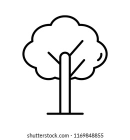 Tree plant line icon isolated on white background. Outline thin concept natural element vector.