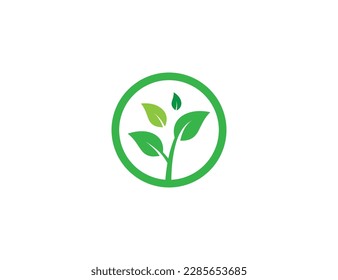 Símbolo del símbolo del símbolo del concepto del logotipo de la planta de árbol Elemento Diseño del elemento. Salud, Ecología, Herbal, Spa, Salón de Belleza, Boutique, Productos Naturales, Logotipo Orgánico. Plantilla de ilustración de vector