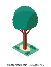 tree plant mini isometric icon