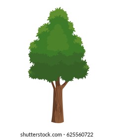tree plant natural ecology forest