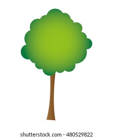 tree plant natural isolated icon vector illustration design