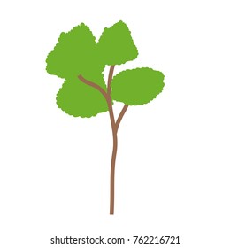 Tree of plant nature and botany theme Isolated design Vector illustration