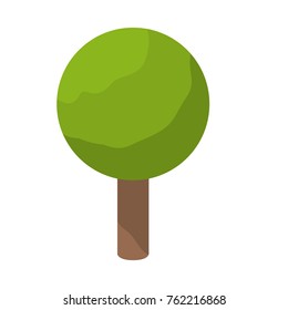 Tree of plant nature and botany theme Isolated design Vector illustration