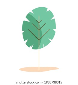 tree plant nature isolated icon