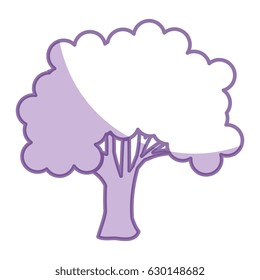 tree plant nature isolated icon