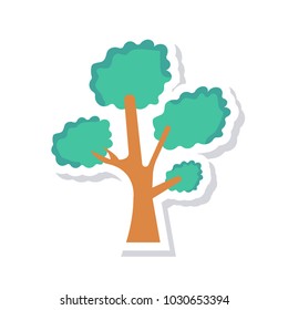 tree plant park 