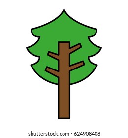 tree plant pine isolated icon