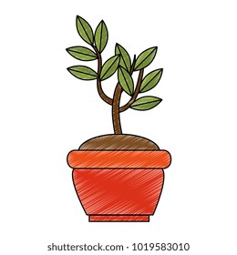 tree plant in pot