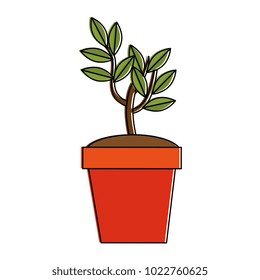tree plant in pot