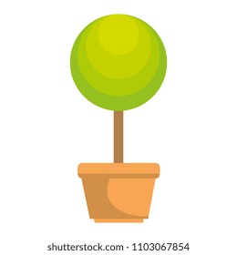 tree plant in pot icon