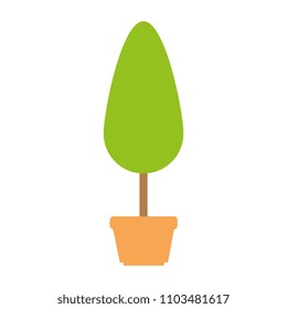 tree plant in pot icon