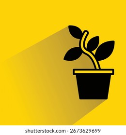 tree plant pot icon with shadow on yellow background