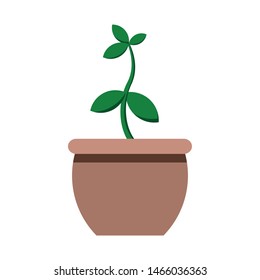 Tree plant pot leaf or leaves