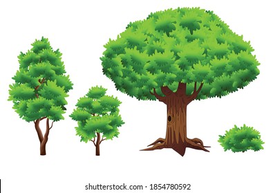 conjunto de árboles y plantas. Vector gráfico