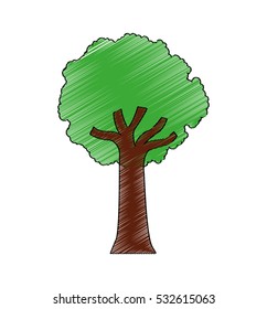 tree plant silhouette isolated icon vector illustration design