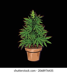 Tree Plant Weed Cannabis Bud Pot