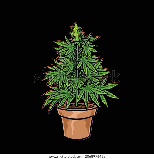 tree plant weed cannabis bud\
pot