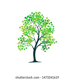 tree plant with white background leaves