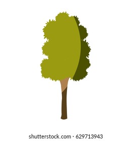 tree plant wood natural leaf image