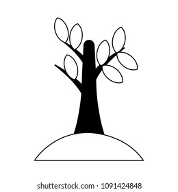 Tree planted isolated in black and white colors